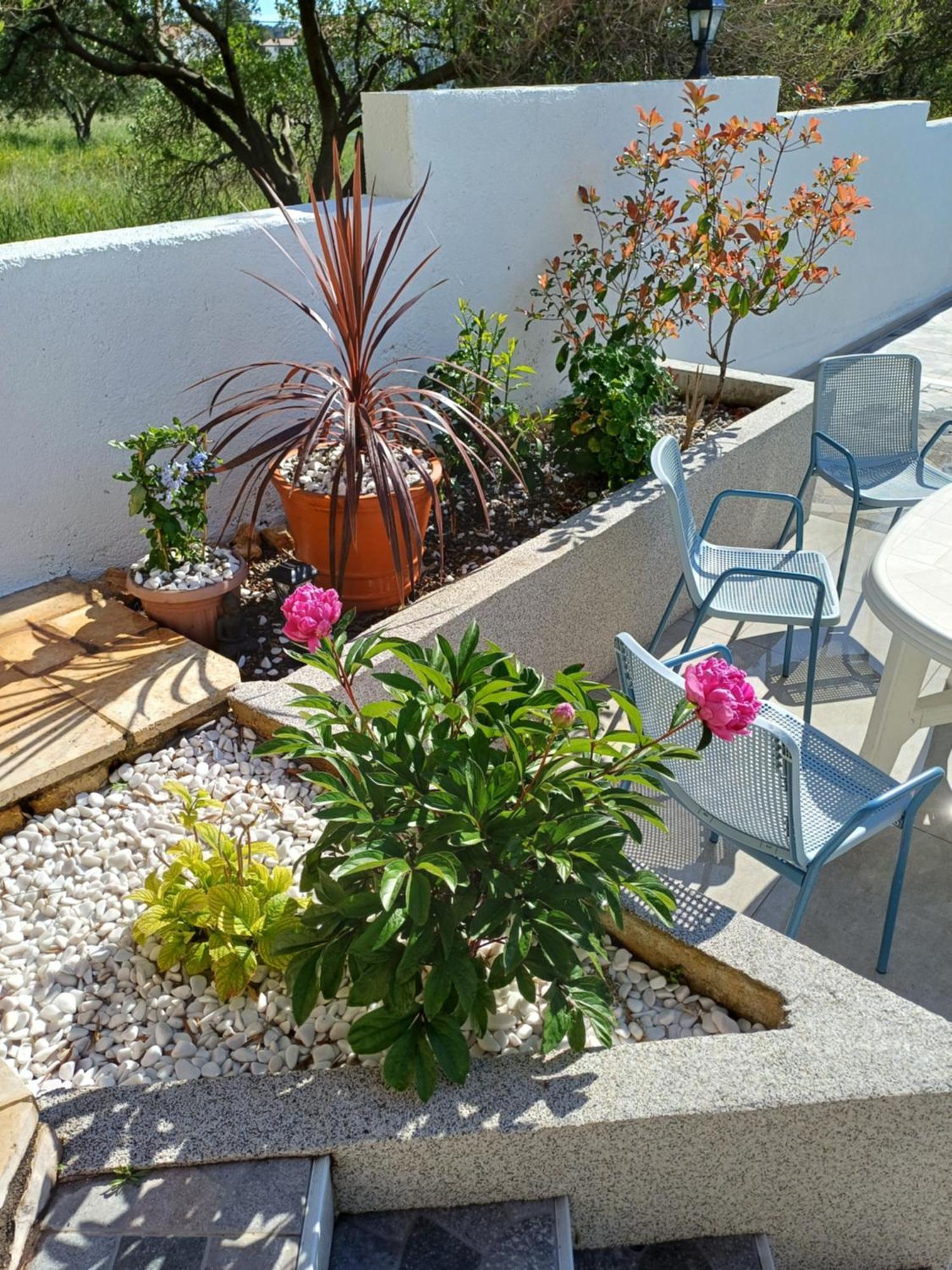 Casa Surya - Apartments With Sea View And Swimming Pool Barbat na Rabu Eksteriør billede